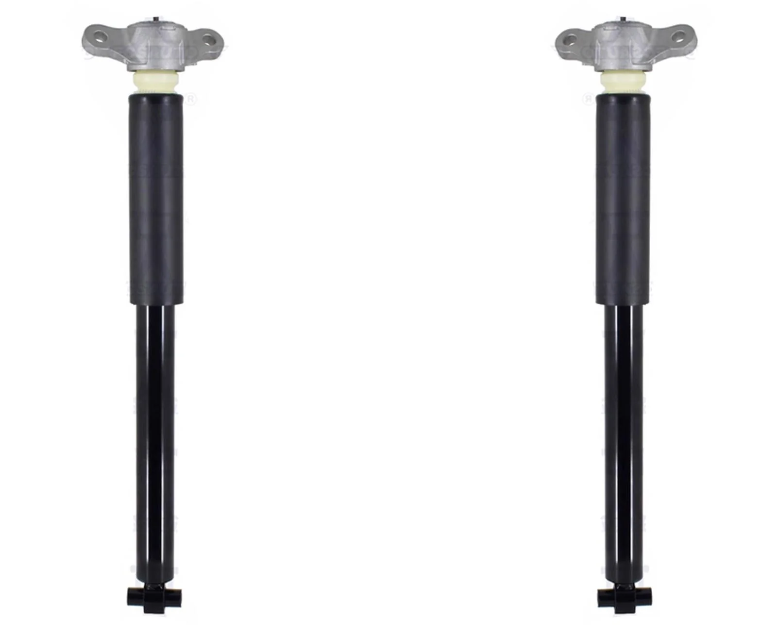 Rear Left & Right Complete Shocks Absorber For Ford Escape 2020 2021 2022 2023