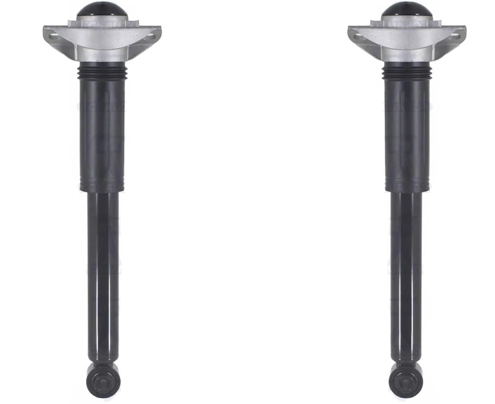 Rear Left & Right Complete Shocks Absorber For Lexus ES350 2019 2020 2021 2024